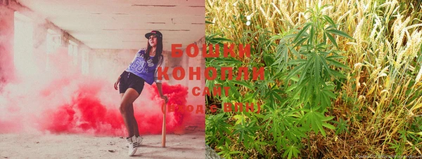 шишки Лихославль