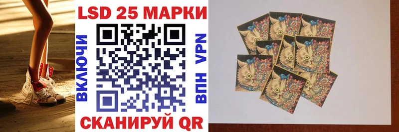 где продают   Новый Уренгой  Марки N-bome 1,8мг 